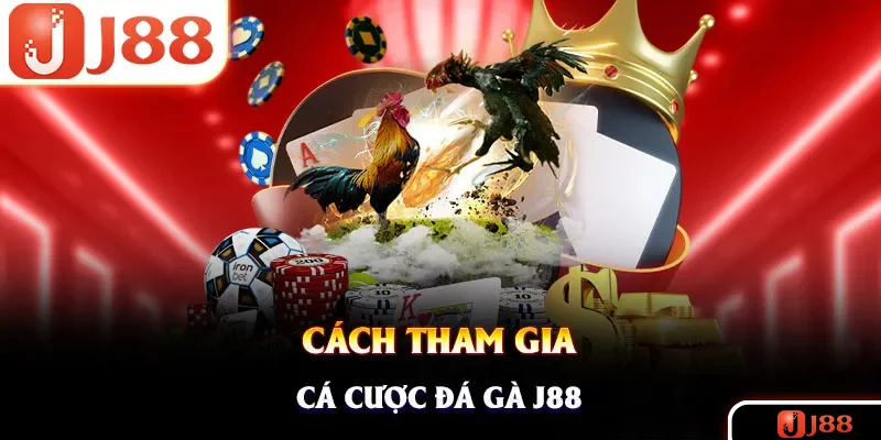Bật mí quy trình trải nghiệm chơi kê trực tiếp tại nhà cái