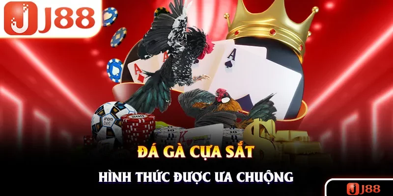 Chọi kê cựa sắt là thể loại được ưa chuộng hàng đầu hiện nay