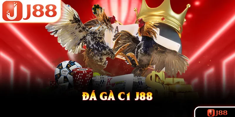 Đá Gà C1 J88 - Giải Đấu Chiến Kê Khốc Liệt Nhất Nhà Cái
