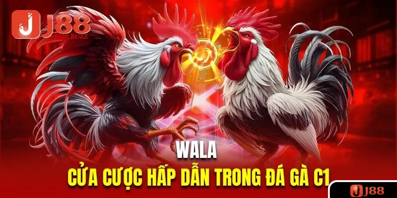 Wala là cửa cược hấp dẫn trong đá gà C1