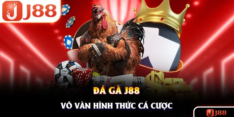 Đá gà nhà cái cung cấp vô vàn loại hình thú vị