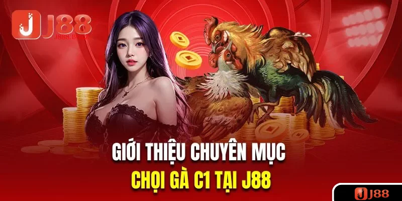 Giới thiệu về chuyên mục chọi gà C1 tại J88