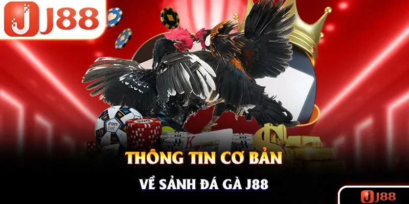 Tìm hiểu sức hút sân chơi đá gà J88 trực tuyến